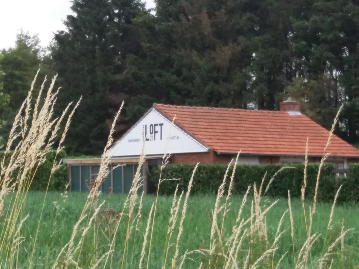 B&B Loft 21 Ravels Exterior foto
